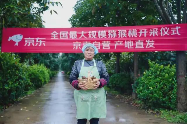 战京东到底藏着什么超级王牌？开元棋牌全业态打响“低价”(图5)